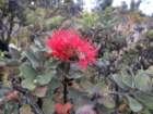 cb26img_1557_small.jpg