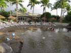 cb27img_1682_small.jpg