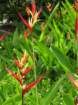 cb28img_1710_small.jpg
