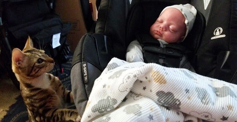 home_robbyrobbyandcat.jpg