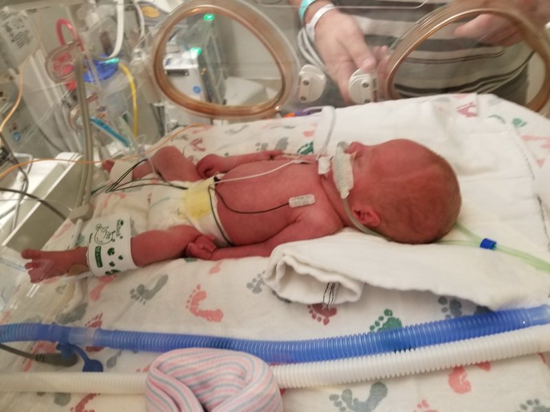 nicu_robby20190827_121501.jpg