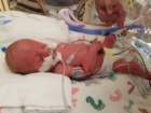 nicu_robby20190827_121721_small.jpg