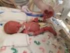 nicu_robby20190827_121817_small.jpg