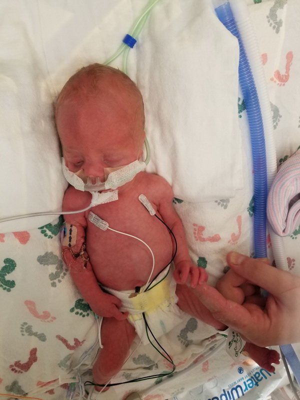 nicu_robby20190827_122123.jpg