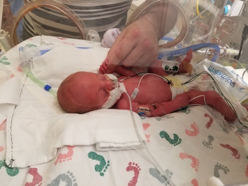 nicu_robby20190827_122145.jpg