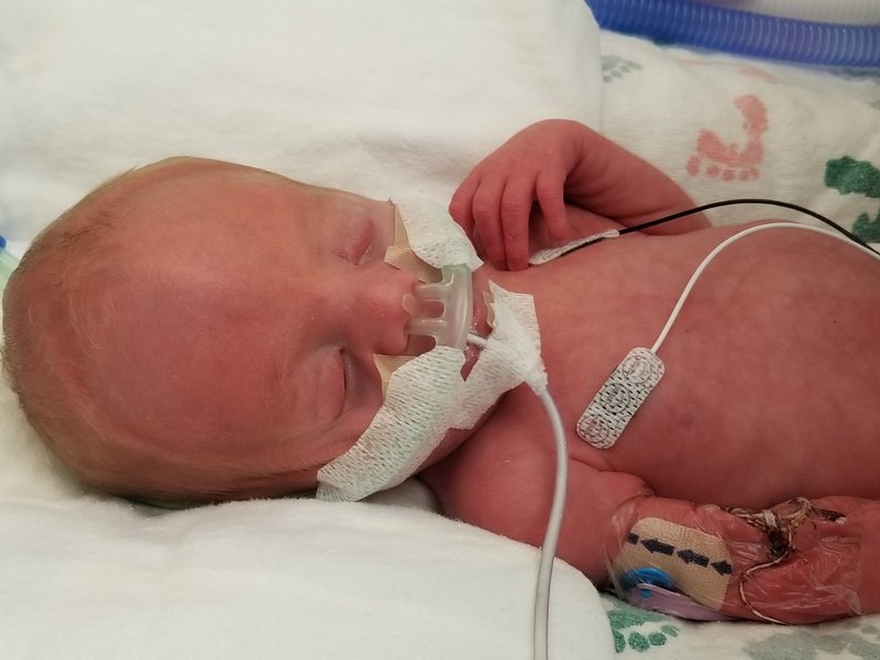 nicu_robby20190827_122159.jpg