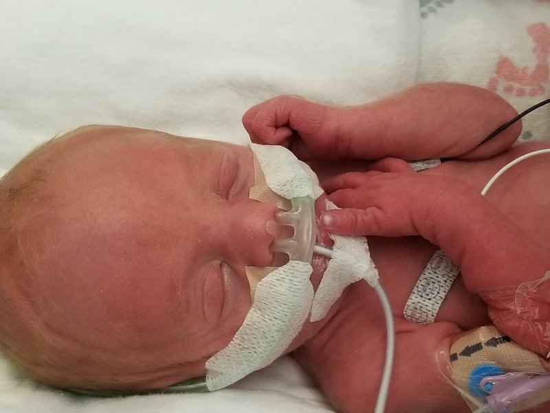 nicu_robby20190827_122235.jpg