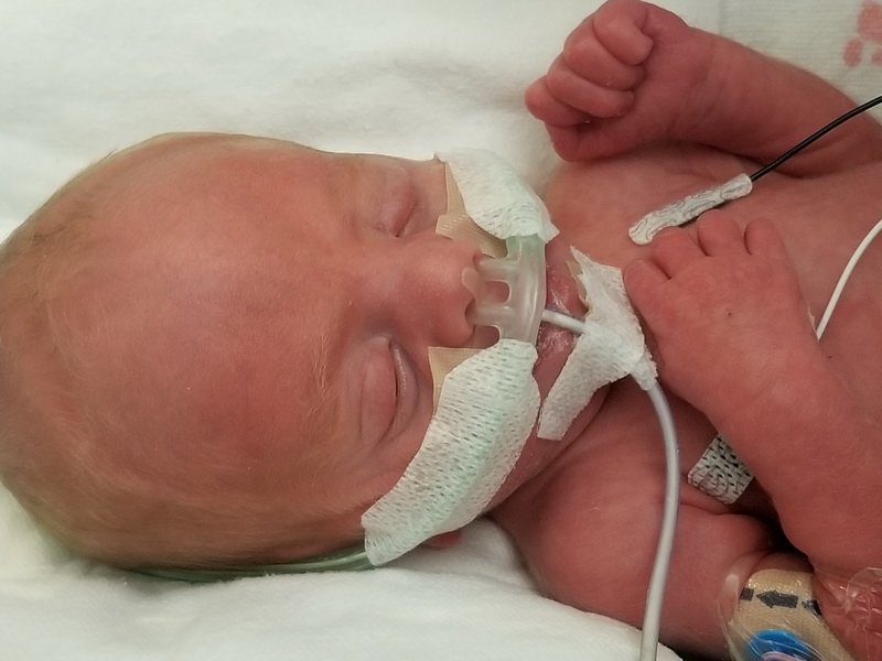 nicu_robby20190827_122353.jpg