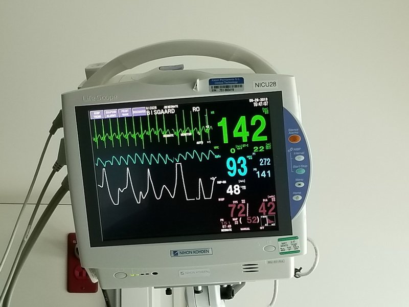 nicu_robby20190828_164112.jpg