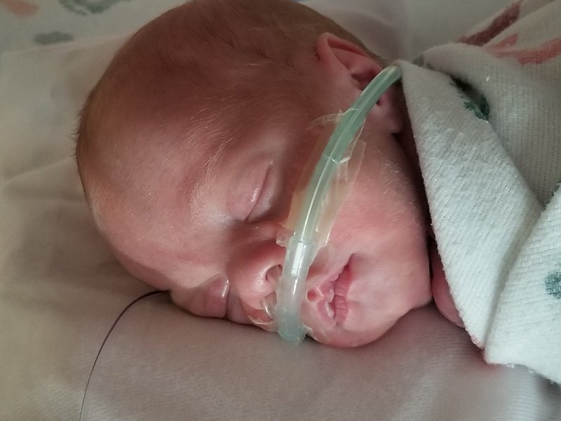 nicu_robby20190903_173017.jpg
