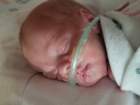 nicu_robby20190903_173017_small.jpg