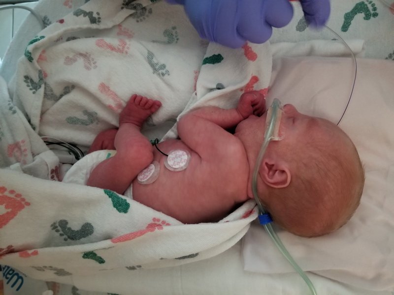 nicu_robby20190903_174431.jpg