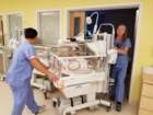 nicu_robby20190904_183808_small.jpg