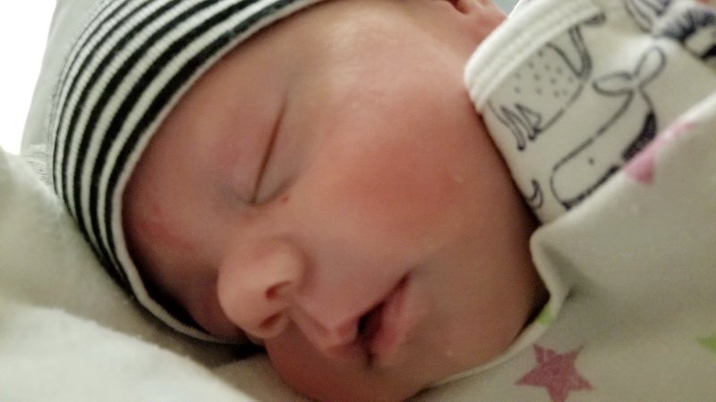 nicu_robby20191004_185812.jpg