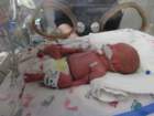 nicu_robbyimg_2533_small.jpg