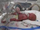 nicu_robbyimg_2534_small.jpg