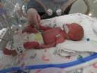 nicu_robbyimg_2535_small.jpg