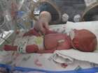 nicu_robbyimg_2540_small.jpg