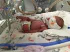 nicu_robbyimg_2928_small.jpg