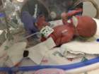 nicu_robbyimg_2932_small.jpg