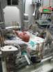 nicu_robbyimg_2988_small.jpg