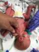 nicu_robbyimg_2990_small.jpg