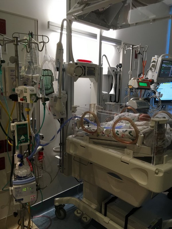 nicu_robbyimg_3004.jpg