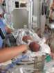 nicu_robbyimg_3050_small.jpg