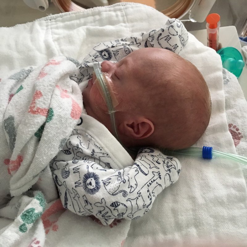 nicu_robbyimg_3053.jpg