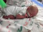 nicu_robbyimg_3095_small.jpg