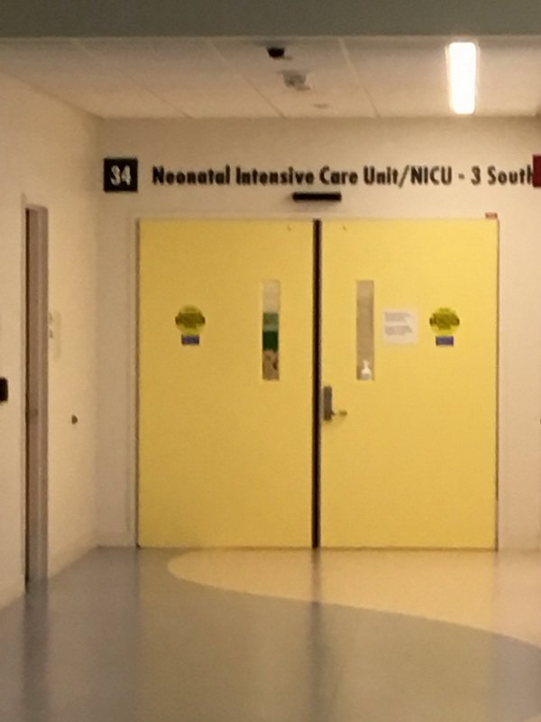 nicu_robbyimg_3112.jpg