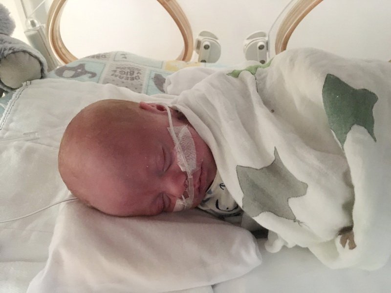 nicu_robbyimg_3177.jpg