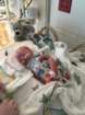 nicu_robbyimg_3180_small.jpg