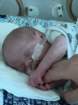 nicu_robbyimg_3224_small.jpg