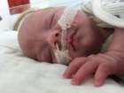 nicu_robbyimg_3227_small.jpg