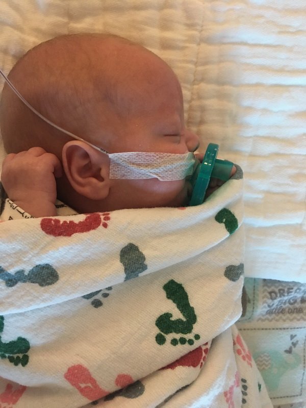 nicu_robbyimg_3341.jpg