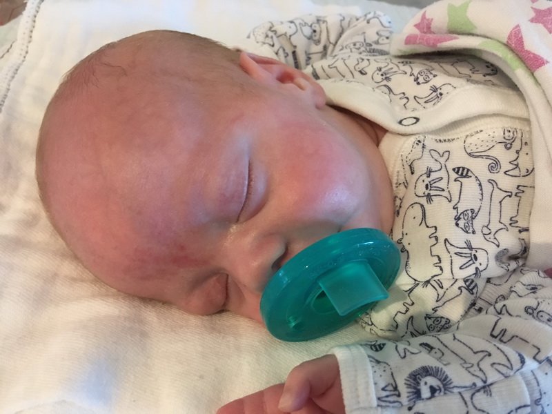 nicu_robbyimg_3358.jpg