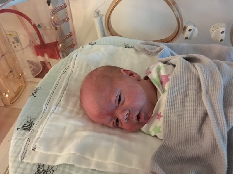 nicu_robbyimg_3368.jpg