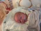 nicu_robbyimg_3368_small.jpg