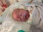 nicu_robbyimg_3374_small.jpg