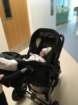 nicu_robbyimg_3446_small.jpg