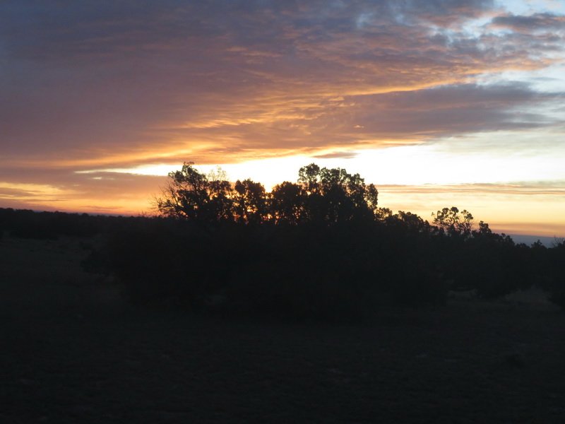 oct_img_2917.jpg
