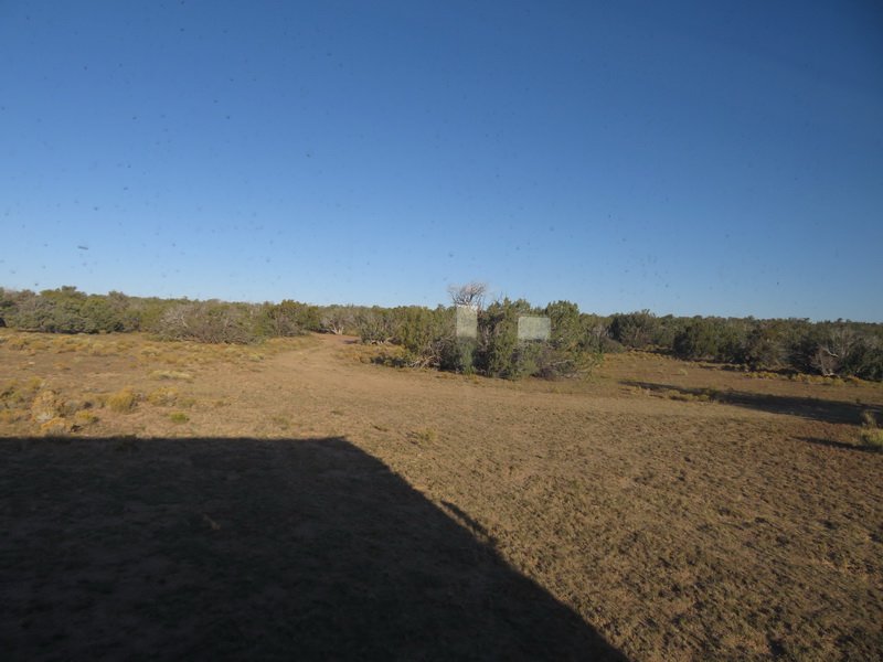 oct_img_2919.jpg