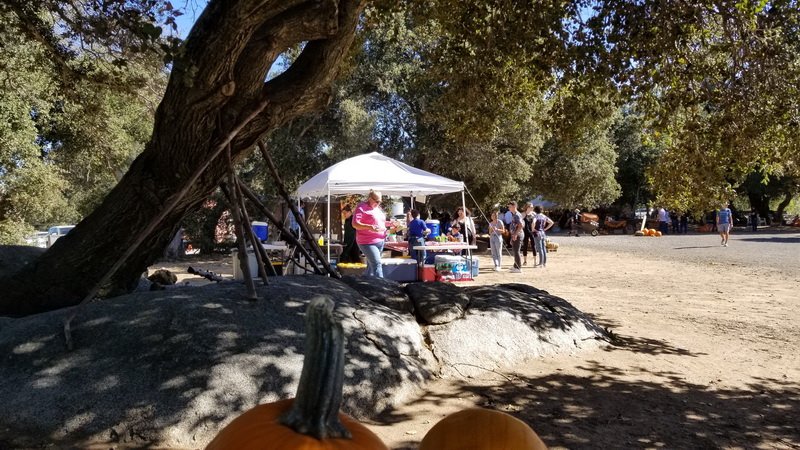 ppatch_20191026_142136.jpg