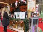 budapest_img_3599_small.jpg