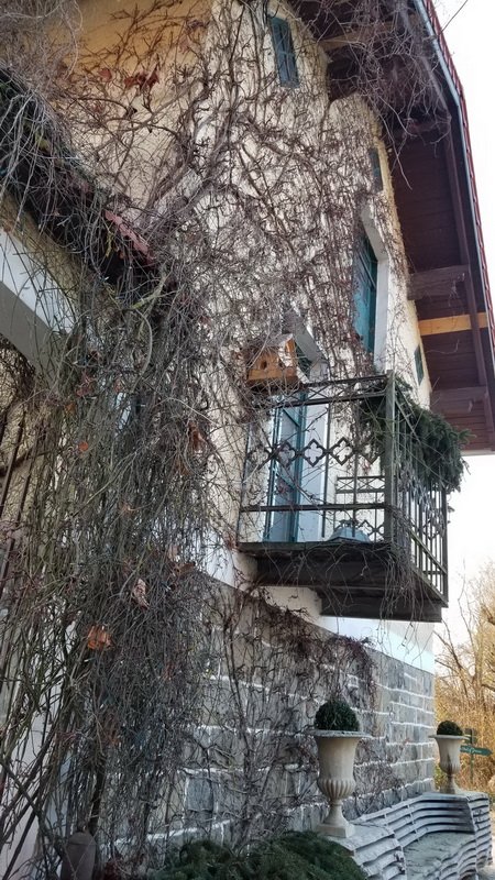 passau_20191205_144203.jpg