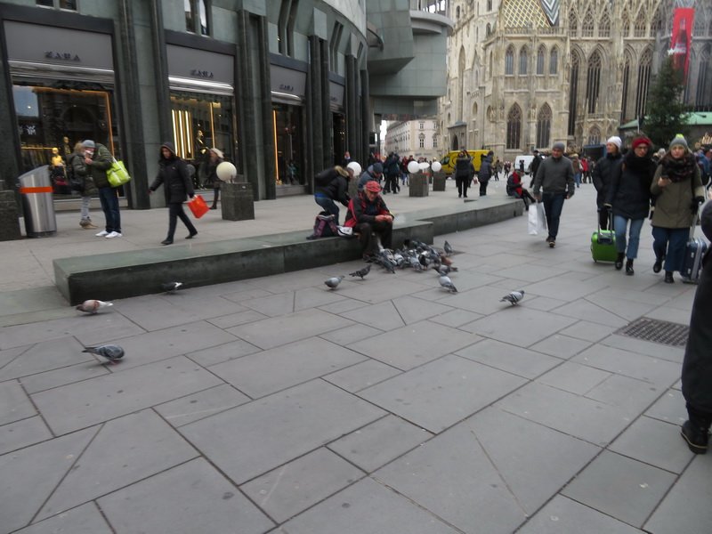 vienna_img_4501.jpg