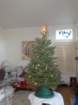 xmas_img_6091_small.jpg