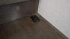 trailer20200921_161034_small.jpg