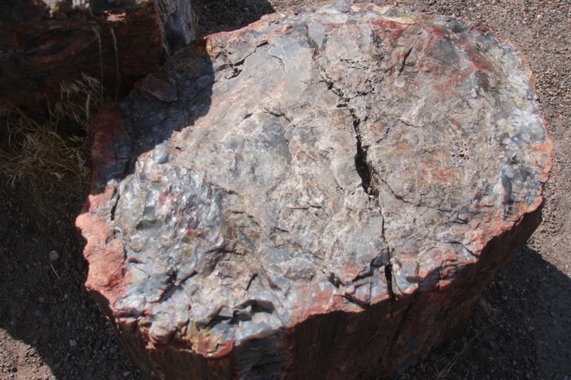 plabimg_4180.jpg